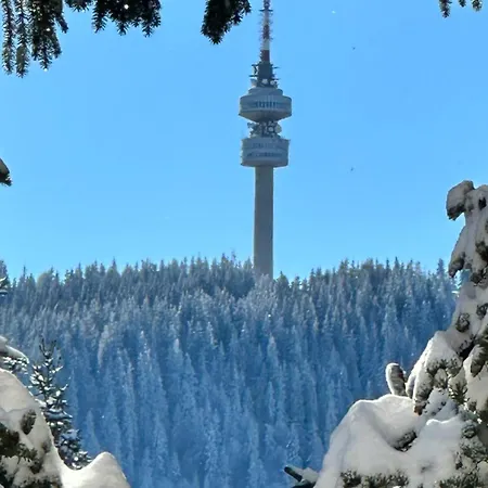 Elea Mountain Пампорово